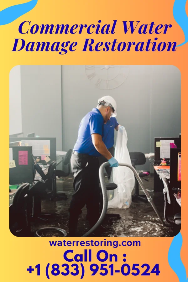 Commercial Water Damage Restoration in War, WV