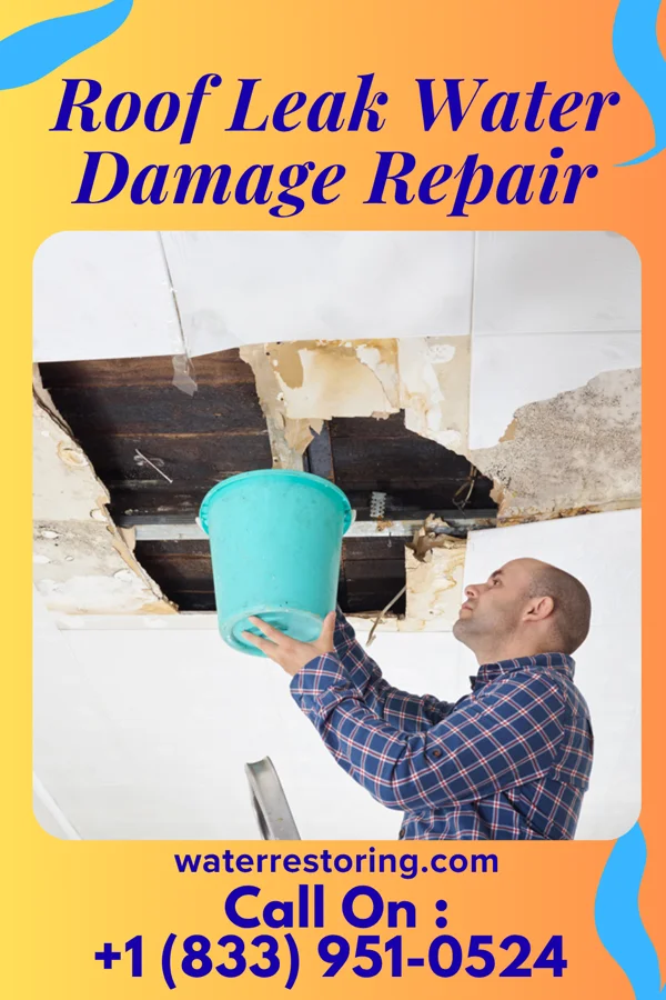 Roof Leak Water Damage Repair in War, WV