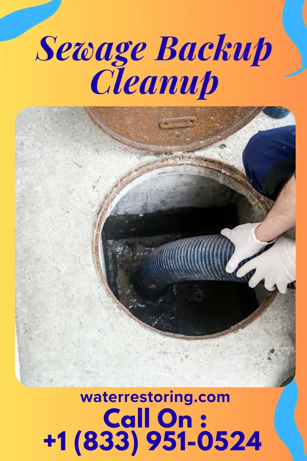 Sewage Backup Cleanup in War, WV