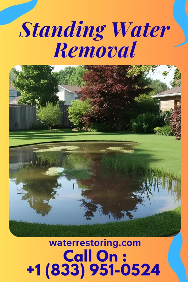 Standing Water Removal in War, WV